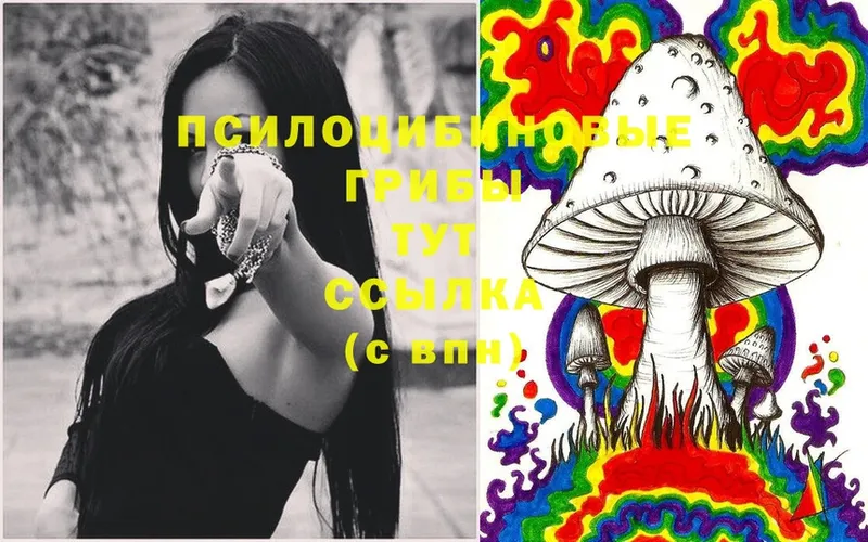 Галлюциногенные грибы Magic Shrooms  Прокопьевск 